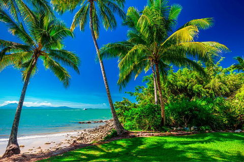 SHUTTLE - Port Douglas And Craiglie Return Transfer - Accommodation Ballina 2