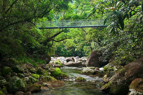 SHUTTLE - Mossman Gorge & Cooya Beach From Port Douglas (Return Transfer) - Accommodation Ballina 4