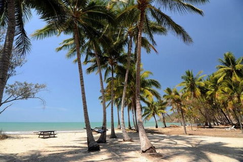 SHUTTLE - Thala Beach And Turtle Cove From Port Douglas (Return Transfer) - Accommodation Ballina 2