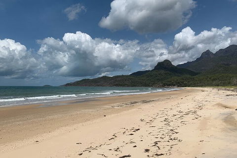 Hinchinbrook Island Tour - Accommodation Ballina 3