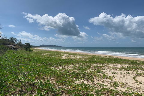 Hinchinbrook Island Tour - Accommodation Ballina 5