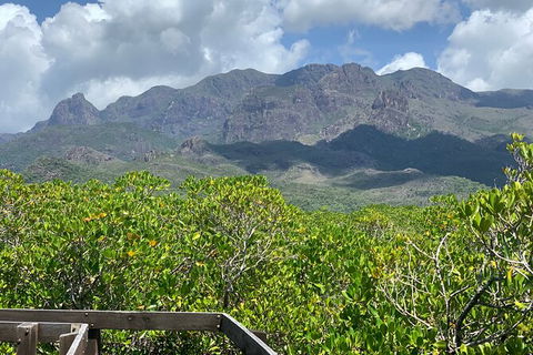 Hinchinbrook Island Tour - Accommodation Ballina 0