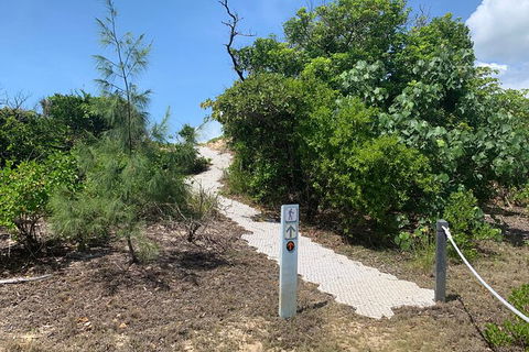 Hinchinbrook Island Tour - Accommodation Ballina 1