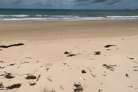 Hinchinbrook Island Tour - Accommodation Ballina 6