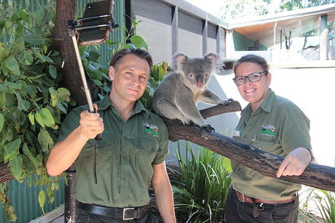 Virtual Interactive Australian Wildlife Tour With Private Guide-Wildlife Habitat - Accommodation Ballina 4