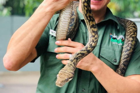 Virtual Interactive Australian Wildlife Tour With Private Guide-Wildlife Habitat - Accommodation Ballina 3