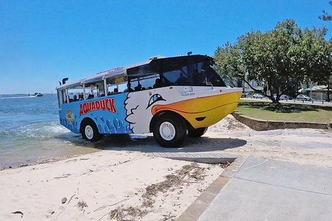 Aquaduck & Paradise Jet Boating Combo - Accommodation Ballina 4