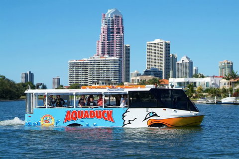 Aquaduck & Paradise Jet Boating Combo - Accommodation Ballina 5