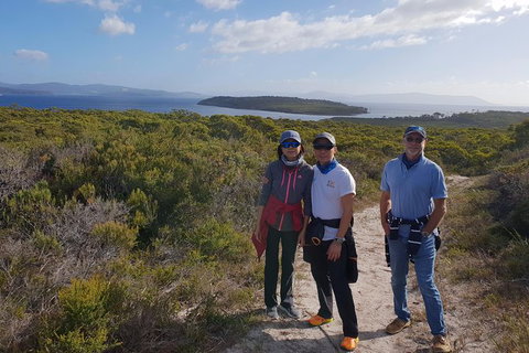 Maria Island And East Coast Five Day Cruise - Accommodation Ballina 2