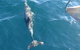 Maria Island And East Coast Five Day Cruise - thumb 4