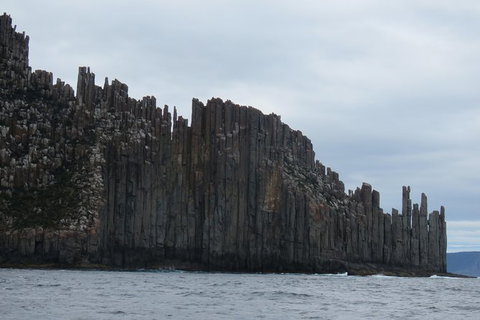 Maria Island And East Coast Five Day Cruise - Accommodation Ballina 6