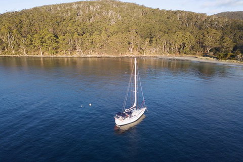 Maria Island And East Coast Five Day Cruise - Accommodation Ballina 5