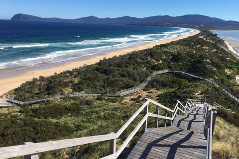 4-Day Fabulous Tasmania Tour: Wineglass Bay, Port Arthur, Devils & Bruny Island - Accommodation Ballina 3