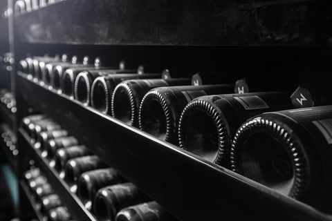 Private Winery Tour And Tasting In Moorilla And Mona Museum - Accommodation Ballina 3