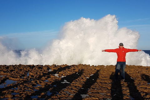 Ride Tours, 2 Day Great Ocean Road Experience - Accommodation Ballina 1