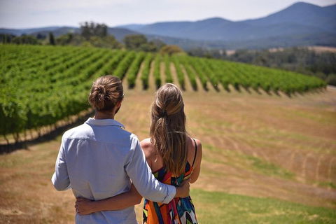 Yarra Valley Wine, Bubbles And Gin Tour! - Accommodation Ballina 1