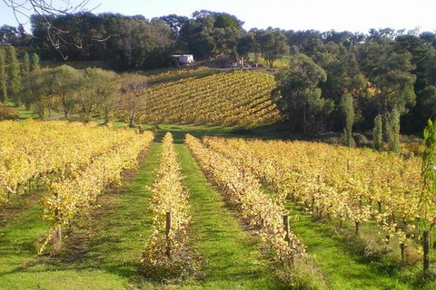 Macedon Ranges Winery Tour From Melbourne - Accommodation Ballina 1
