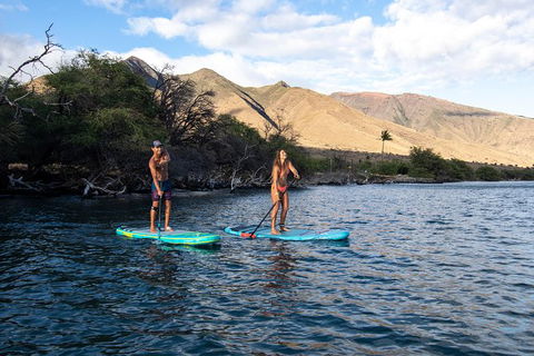 Stand Up Paddle Boarding Hire - Accommodation Ballina 2
