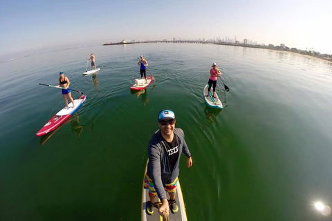 Stand Up Paddle Boarding Hire - Accommodation Ballina 1