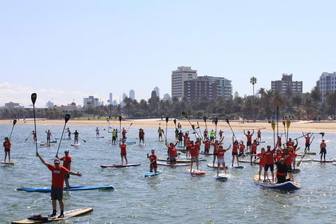 Stand Up Paddle Boarding Hire - Accommodation Ballina 5
