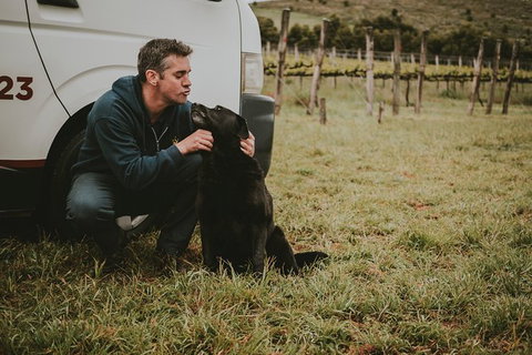 Daylesford Private, Corporate, Group Wine Tours: Wine, Cider, Gin, Vodka, Port! - Accommodation Ballina 3