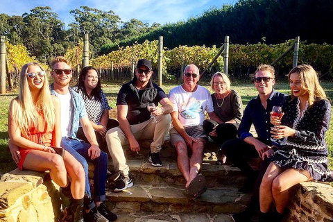 Daylesford Private, Corporate, Group Wine Tours: Wine, Cider, Gin, Vodka, Port! - Accommodation Ballina 1