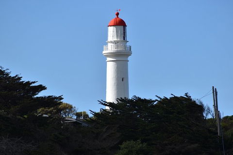 Great Ocean Road Tour Plus Koalas, Forest Walk And Morning Tea. - Accommodation Ballina 1