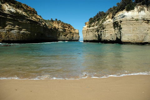Great Ocean Road Tour Plus Koalas, Forest Walk And Morning Tea. - Accommodation Ballina 4
