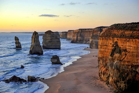 Great Ocean Road Tour Plus Koalas, Forest Walk And Morning Tea. - Accommodation Ballina 0