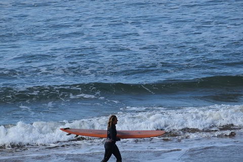 Great Ocean Road Tour Plus Koalas, Forest Walk And Morning Tea. - Accommodation Ballina 8