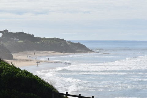 Great Ocean Road Tour Plus Koalas, Forest Walk And Morning Tea. - Accommodation Ballina 10