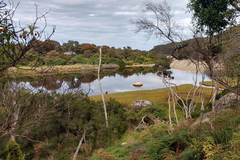 Wilsons Promontory Brainstorming Escape - Accommodation Ballina 9