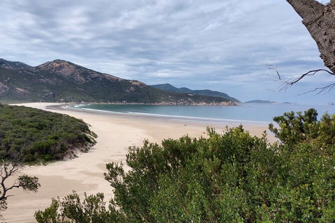 Wilsons Promontory Brainstorming Escape - Accommodation Ballina 1