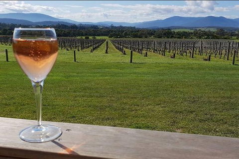 Yarra Valley: 7 Hours Guided Wine Tour With 2-Course Lunch - Accommodation Ballina 0