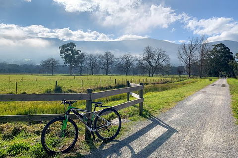Aqueduct And Rail Trail Self-Guided Bike Tour In Warburton - Accommodation Ballina 5