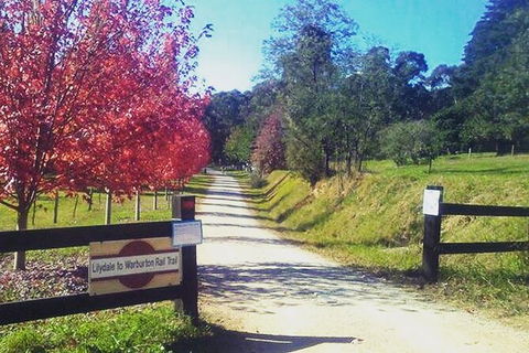 Aqueduct And Rail Trail Self-Guided Bike Tour In Warburton - Accommodation Ballina 4