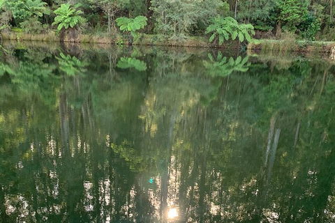 Hiking Tour To Aqueduct And Warburton Valley Lookout - Accommodation Ballina 2