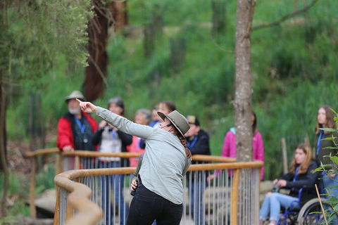 Walk With Wildlife: Guided Tour In Great Ocean Road - Accommodation Ballina 0