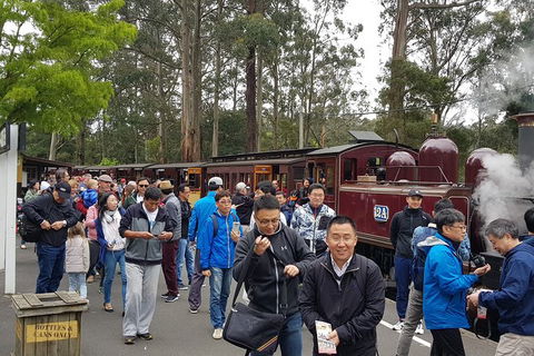 Day Tour Of Yarra Valley Puffing Billy And Rayners Orchard - Accommodation Ballina 3