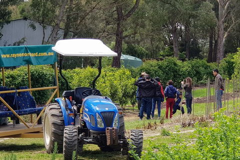 Day Tour Of Yarra Valley Puffing Billy And Rayners Orchard - Accommodation Ballina 10