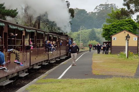 Day Tour Of Yarra Valley Puffing Billy And Rayners Orchard - Accommodation Ballina 0
