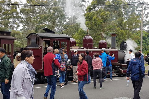 Day Tour Of Yarra Valley Puffing Billy And Rayners Orchard - Accommodation Ballina 4