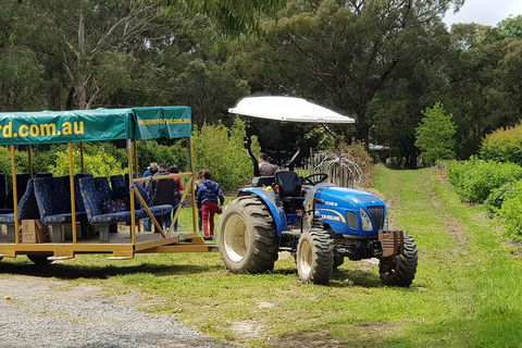 Day Tour Of Yarra Valley Puffing Billy And Rayners Orchard - Accommodation Ballina 25