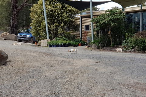 Day Tour Of Yarra Valley Puffing Billy And Rayners Orchard - Accommodation Ballina 26