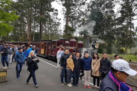 Day Tour Of Yarra Valley Puffing Billy And Rayners Orchard - Accommodation Ballina 9