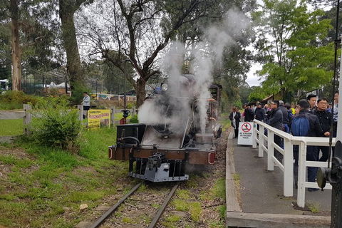 Day Tour Of Yarra Valley Puffing Billy And Rayners Orchard - Accommodation Ballina 43