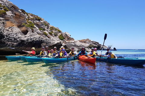 Rottnest Glass Bottom Kayaking Tour - Accommodation Ballina 0
