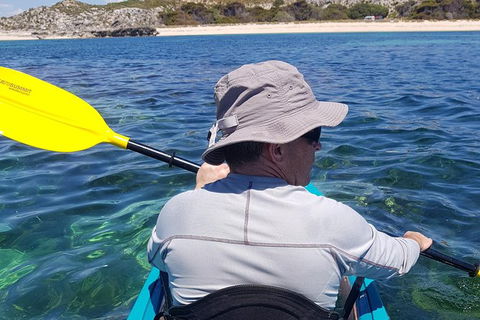 Rottnest Glass Bottom Kayaking Tour - Accommodation Ballina 1