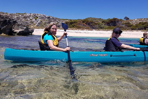 Rottnest Glass Bottom Kayaking Tour - Accommodation Ballina 2
