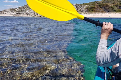 Rottnest Glass Bottom Kayaking Tour - Accommodation Ballina 3